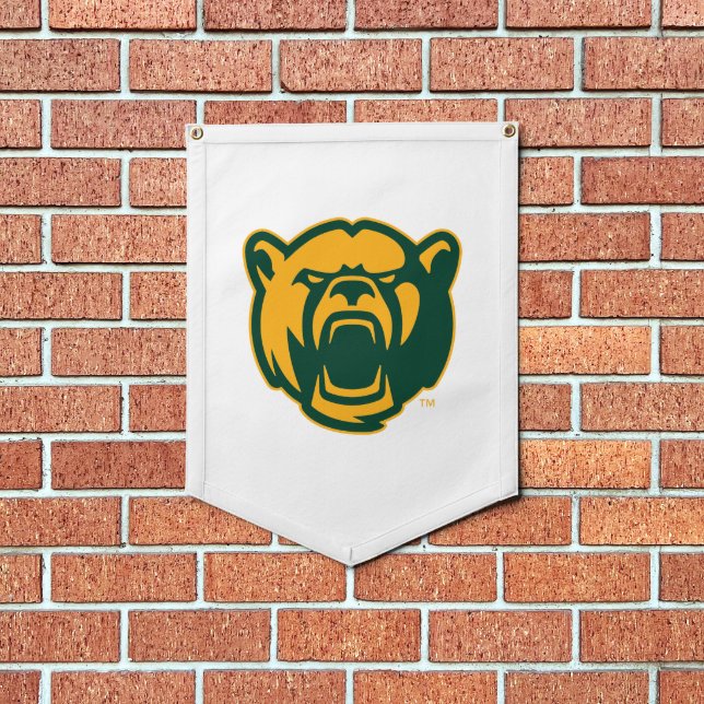 Baylor Bears Head Logo Pennant (Insitu 1)