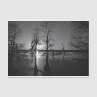 Bayou Sunset | Cypress Trees & Swamp Tissue Paper