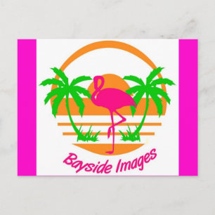 BAYSIDE IMAGES PINK FLAMINGO POST CARD