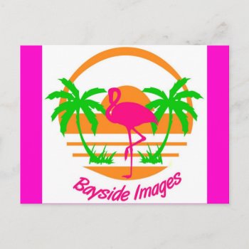 Bayside Images Pink Flamingo Post Card by Baysideimages at Zazzle