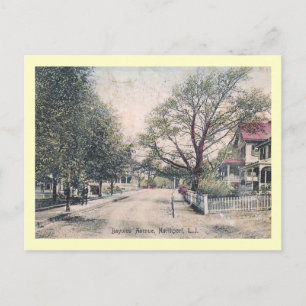 Bayview Ave., Northport, Long Island Vintage Postcard