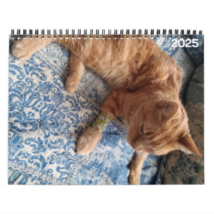Bazz 12 Month 2025 Personalized Calendar
