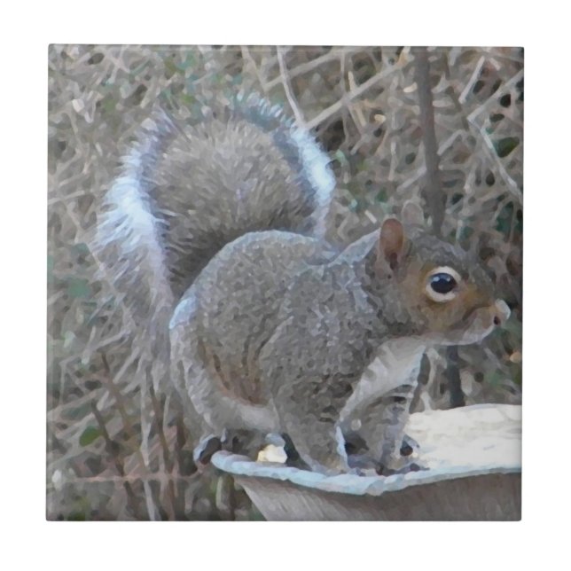 BB- Funny Squirrel Photography Tile (Front)