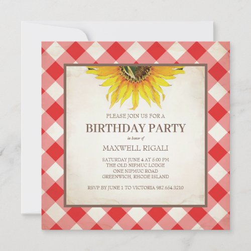 BBQ Birthday Red Gingham Print Invitation