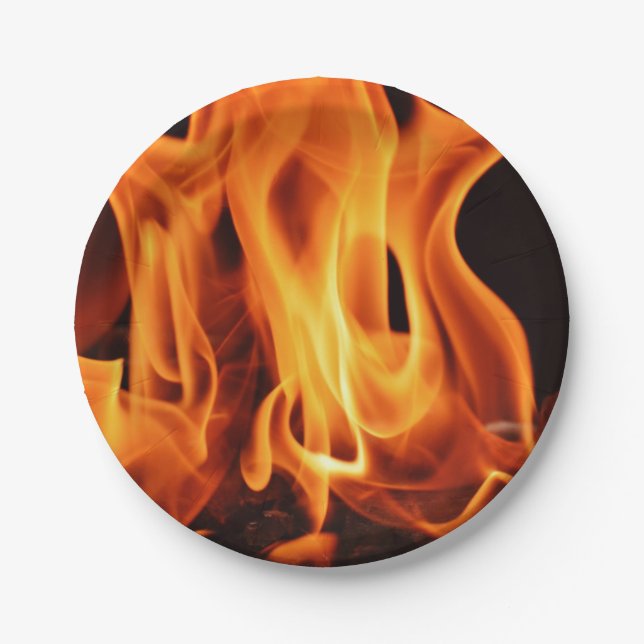 BBQ Grill Fire Flames Paper Plates (Front)