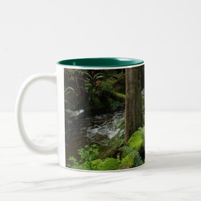 BC Forest Creek Ferns Wilderness Nature Drinkware Two-Tone Coffee Mug (Left)