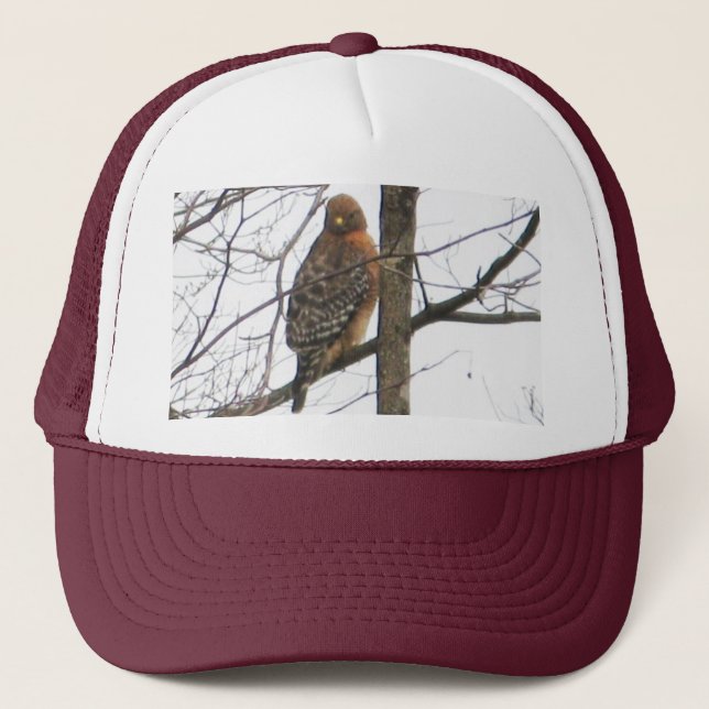 BC- Red-shouldered Hawk Hat (Front)