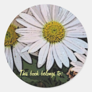 BC- This book belongs to: daisy design Classic Round Sticker