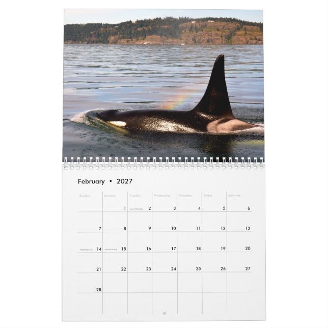 BC Whales Calendar (Feb 2027)