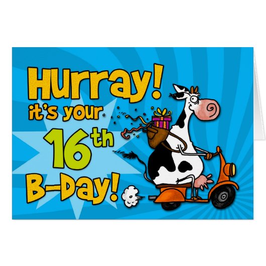 bd scooter cow - 16 cards (Front Horizontal)