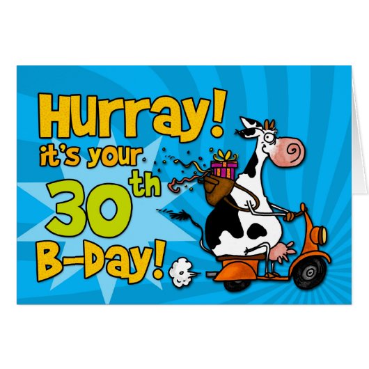 bd scooter cow - 30 (Front Horizontal)