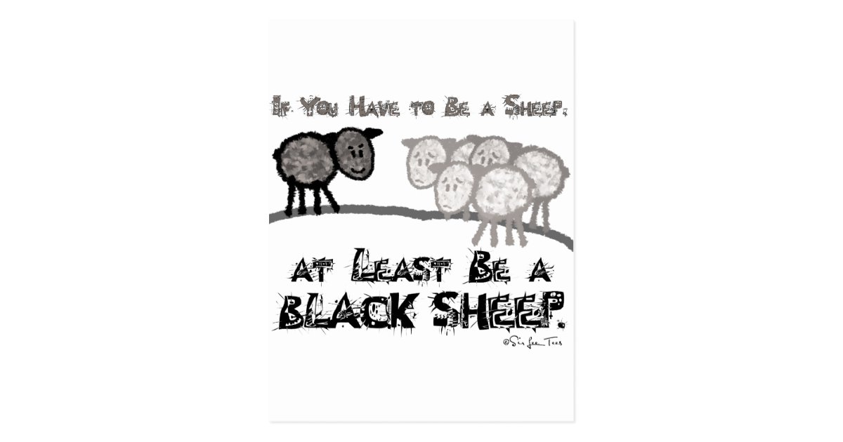 be-a-black-sheep-2-postcard-zazzle