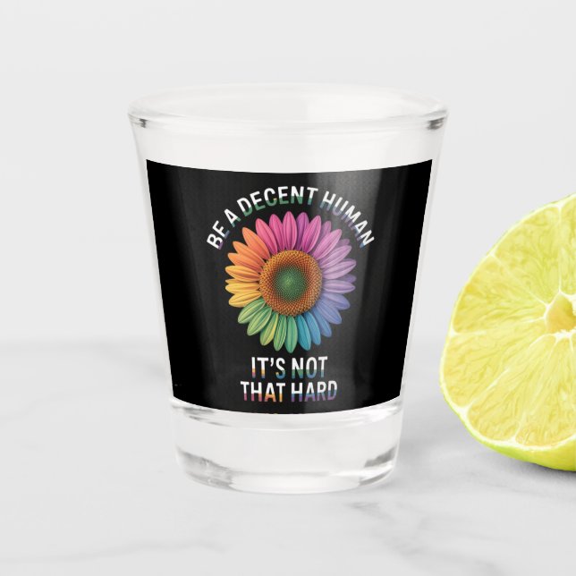  Be A Decent Human It's Not That Hard Shot Glass (Front)