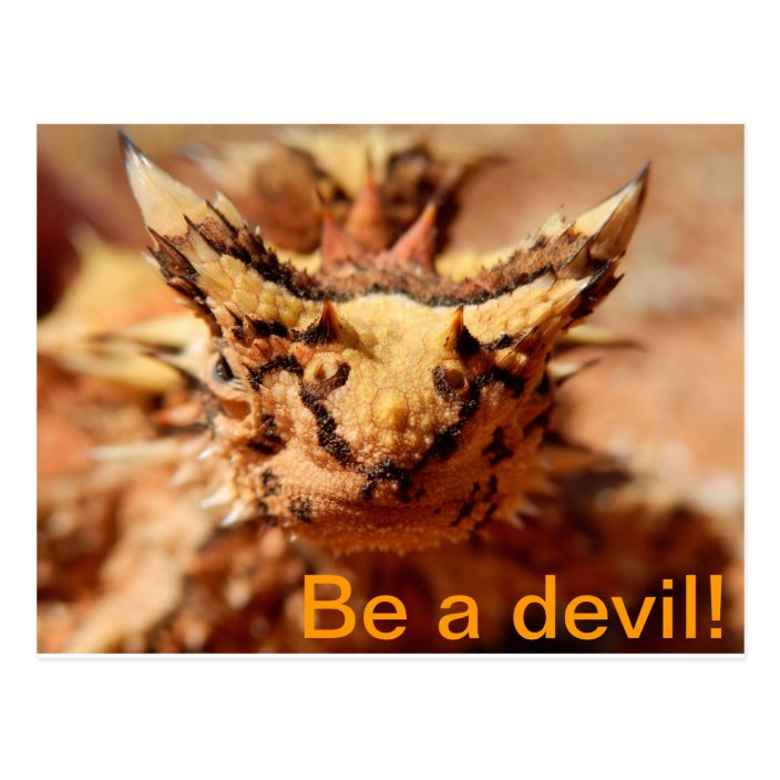 epic books for kids thorny devil