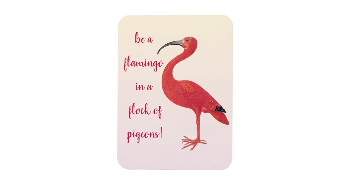 Be a Flamingo - Fun, Inspirational Quote Magnet | Zazzle.com