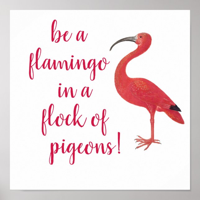 Be a Flamingo - Fun, Inspirational Quote Poster (Front)