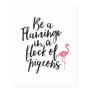 Flamingo Quotes Gifts on Zazzle