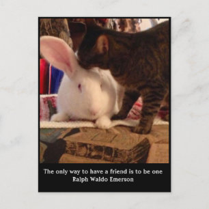 Be a Friend Postcard