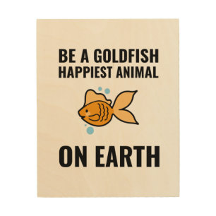 Be a goldfish inspirational motivational positive wood wall art