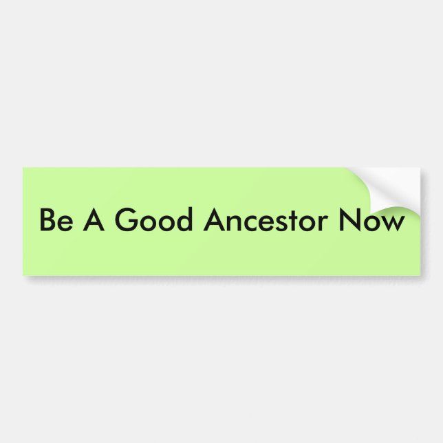 Be A Good Ancestor Now Bumper Sticker (Front)