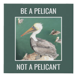 Be a Pelican, Not a Pelican't Faux Canvas Print