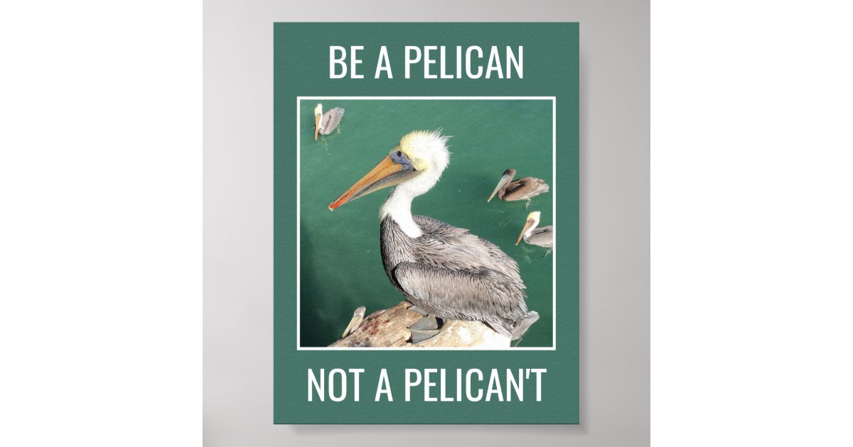 Be a Pelican, Not a Pelican't Motivational Poster