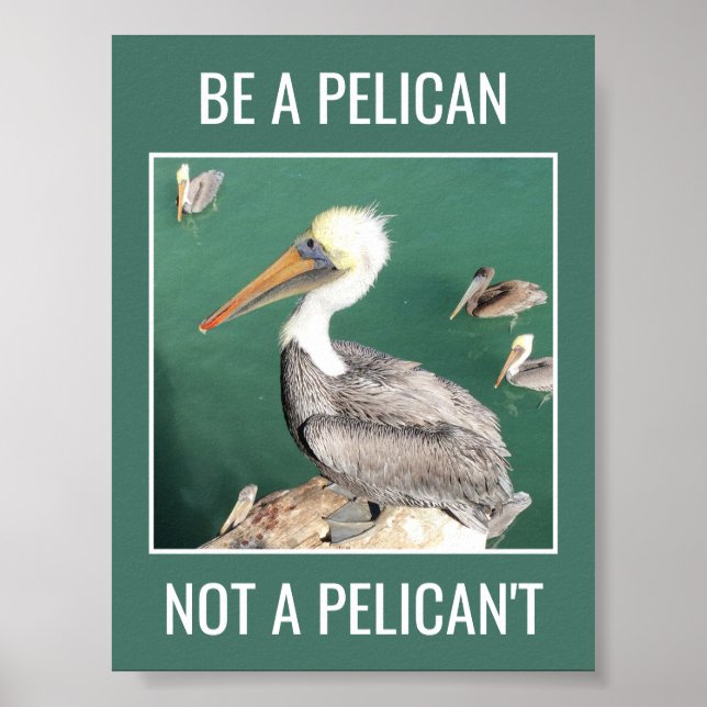 Be a Pelican, Not a Pelican't Motivational Poster (Front)