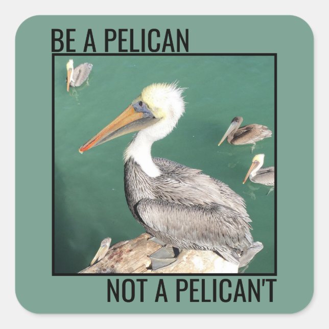 Be a Pelican, Not a Pelican't Square Sticker (Front)