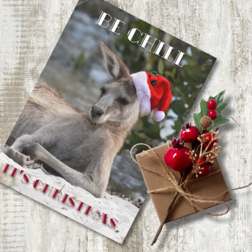 Be Chill Its Christmas Kangaroo Holiday Card