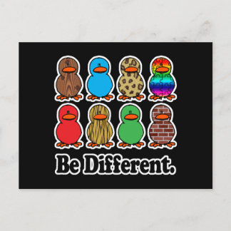 Be Different Ducks Postcard