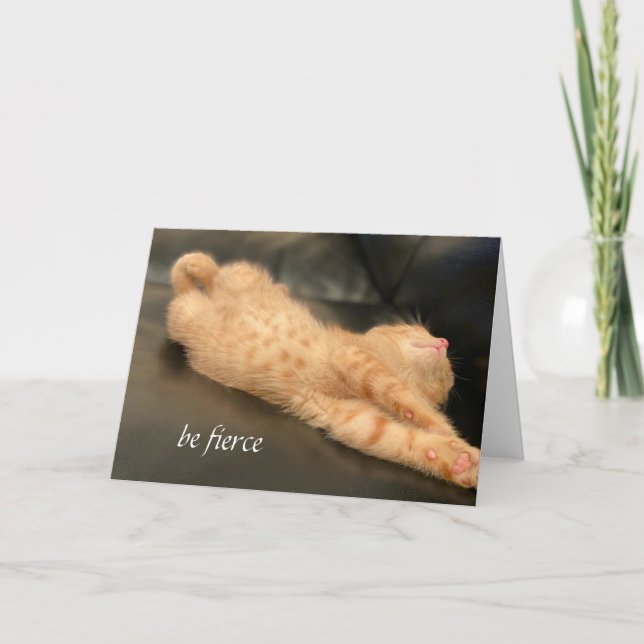 Be Fierce Card Orange Ginger Tiger Kitten Cute (Front)