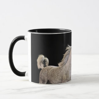 be free. horse collection. arabian grey mug