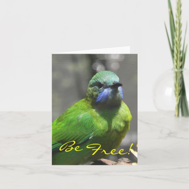 Be Free! Letterpress Thank You Card (Front)