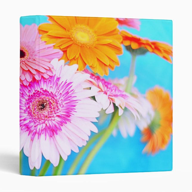 Be Happy... Binder (Front/Spine)