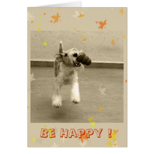 Be Happy ! Cards (Front)