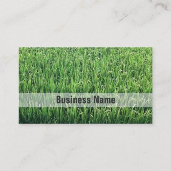 Be Happy Green Rice Field Business Card by fotoplus at Zazzle