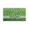 Be Happy Green Rice Field