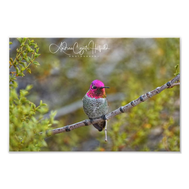 Be-Jeweled 1 Photo Print (Front)