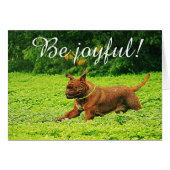 "Be joyful!" (Front Horizontal)