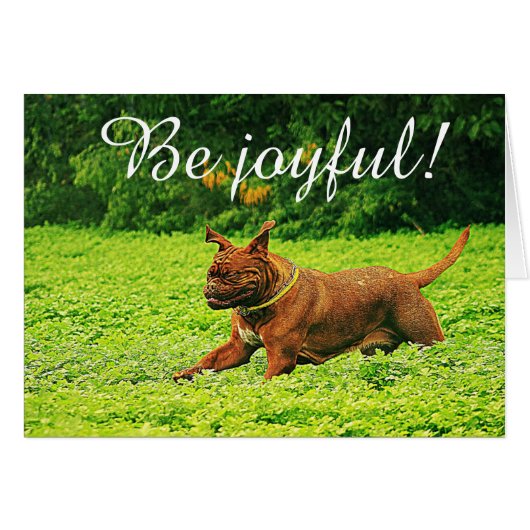 "Be joyful!" Cards (Front Horizontal)