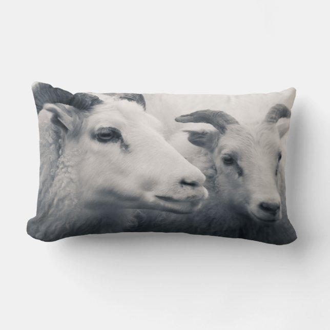 Be Kind Lumbar Pillow (Front)