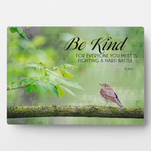 Be Kind Plaque