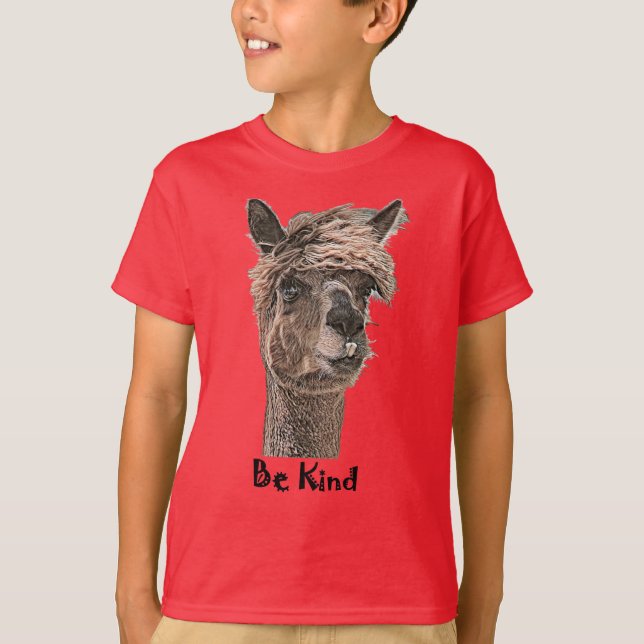 Be Kind T-Shirt (Front)