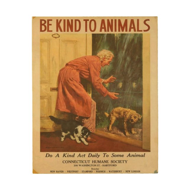 Be Kind to Animals Do A Kind Act Daily Vintage Wood Wall Art (Front)