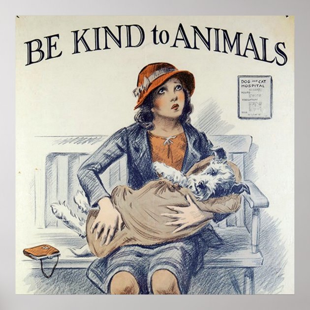 Vintage  Poster Various Sizes Be kind to Animals  Humane Office  Wisconsin. 