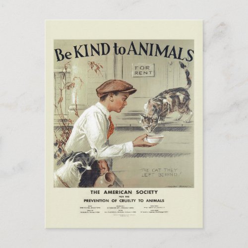 Be Kind to Animals USA vintage postcard 2