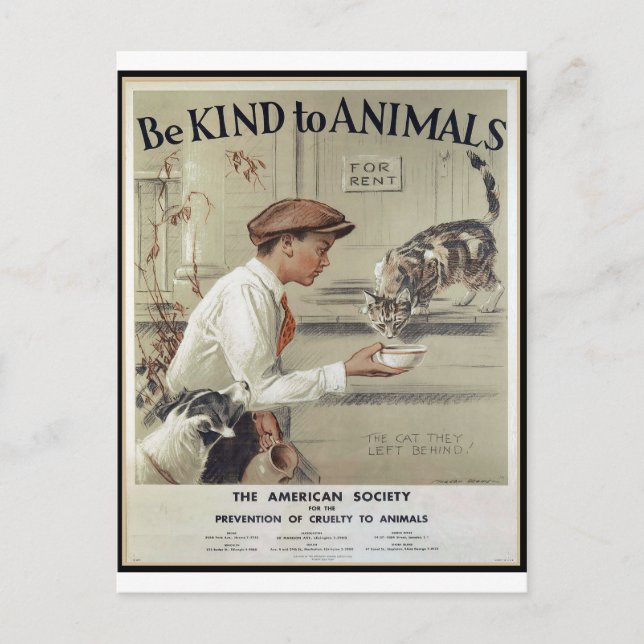 Be Kind to Animals - Vintage Poster Postcard (Front)
