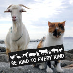 Be Kind To Every Kind, Car Decal at Zazzle
