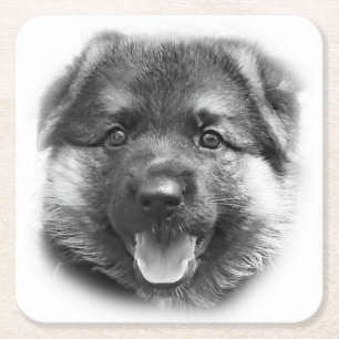 BE LIKE BONK! SQUARE PAPER COASTER