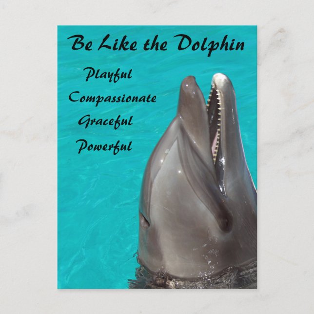 Be Like the Dolphin Postcard (Front)